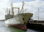 ID 1980 WHITE CASTLE (1989/6557grt/IMO 8904941. Renamed SAMPAQUITA in 2003), alongside Queen Wharf, Auckland, NZ.